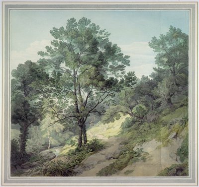View near Cantonteign, Devon by John White Abbott
